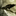 random avatar
